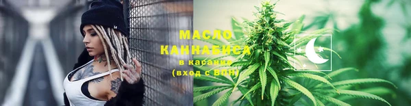 хмурый Арсеньев