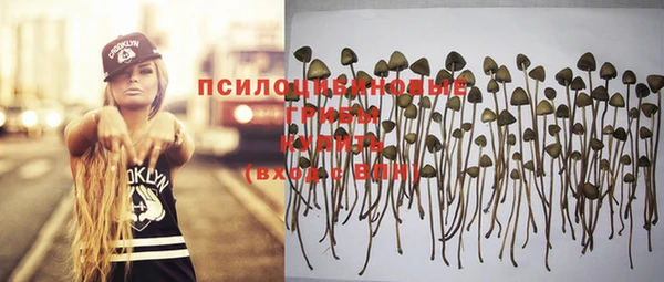 героин Алзамай