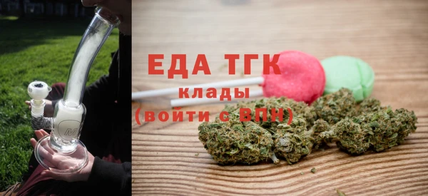 хмурый Арсеньев